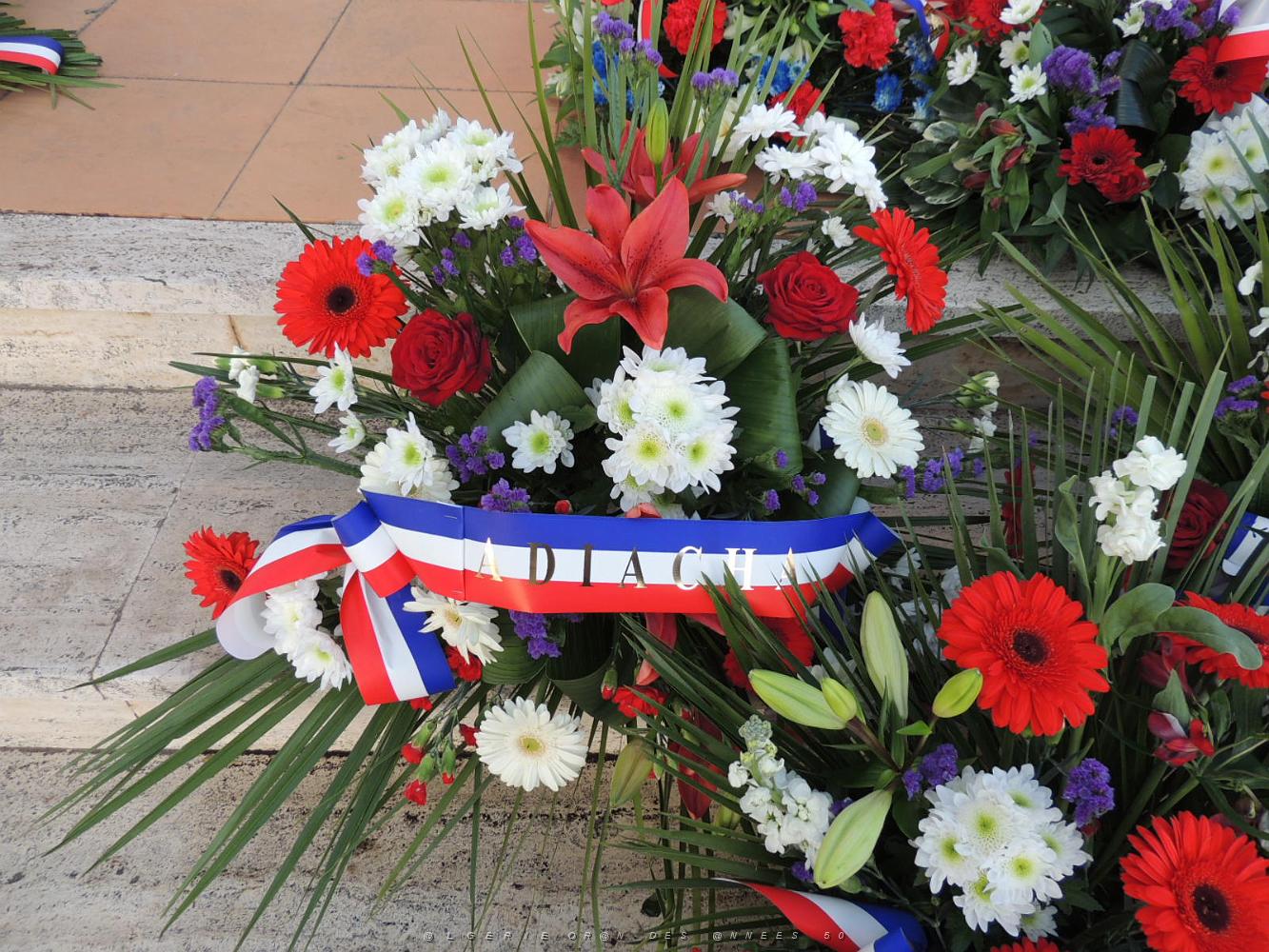 2017 11 01 TOULON CIMETIERRE DE LAGOUBRAN CEREMONIE DU 1 ER NOVEMBRE (16).JPG -           